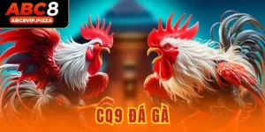 CQ9 đá gà