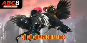 Đá gà campuchia