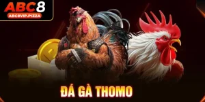 Đá gà thomo