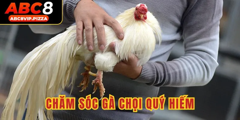 Đặc điểm gà chọi quý hiếm